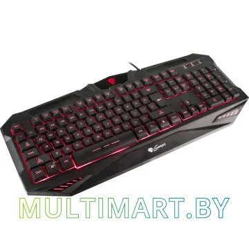 Клавиатура игровая Genesis RX39 (NKG-0849) картинка 4
